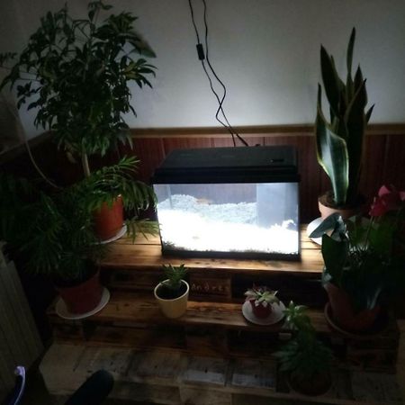 Hostal El Tropezon Matallana de Valmadrigal Zewnętrze zdjęcie