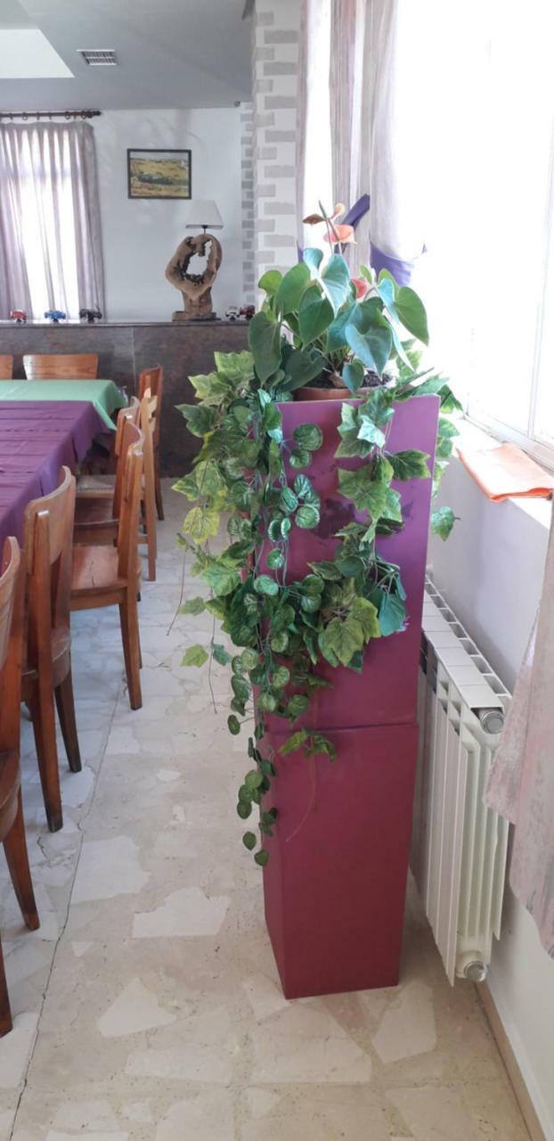 Hostal El Tropezon Matallana de Valmadrigal Zewnętrze zdjęcie